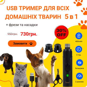 Рекламні креативи